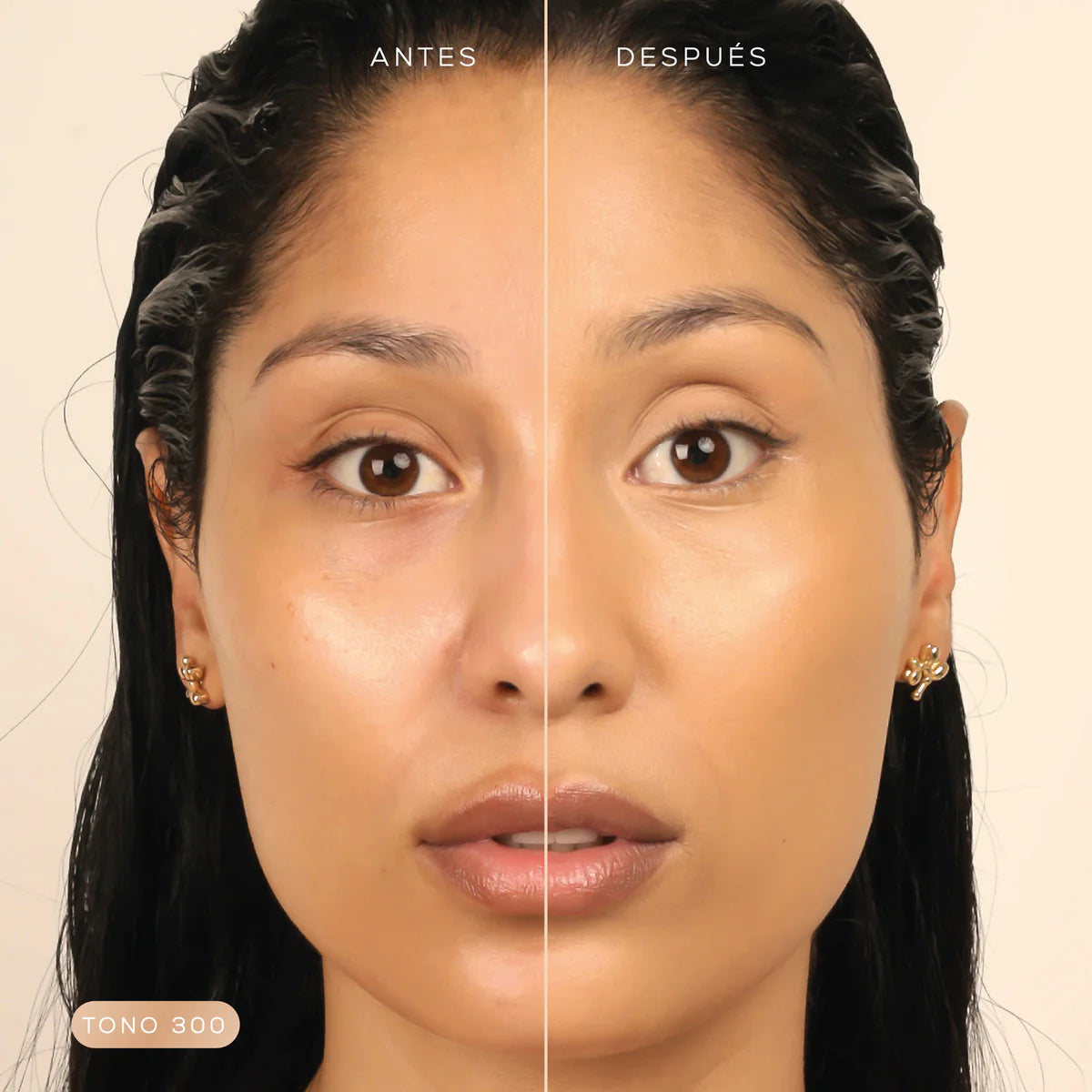 BASE HUMIDE - MONTOC